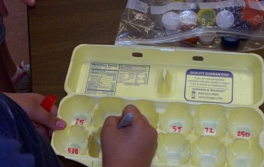 SWMD Bonnie Classroom Pics 009, someone marking numbers in an egg crate